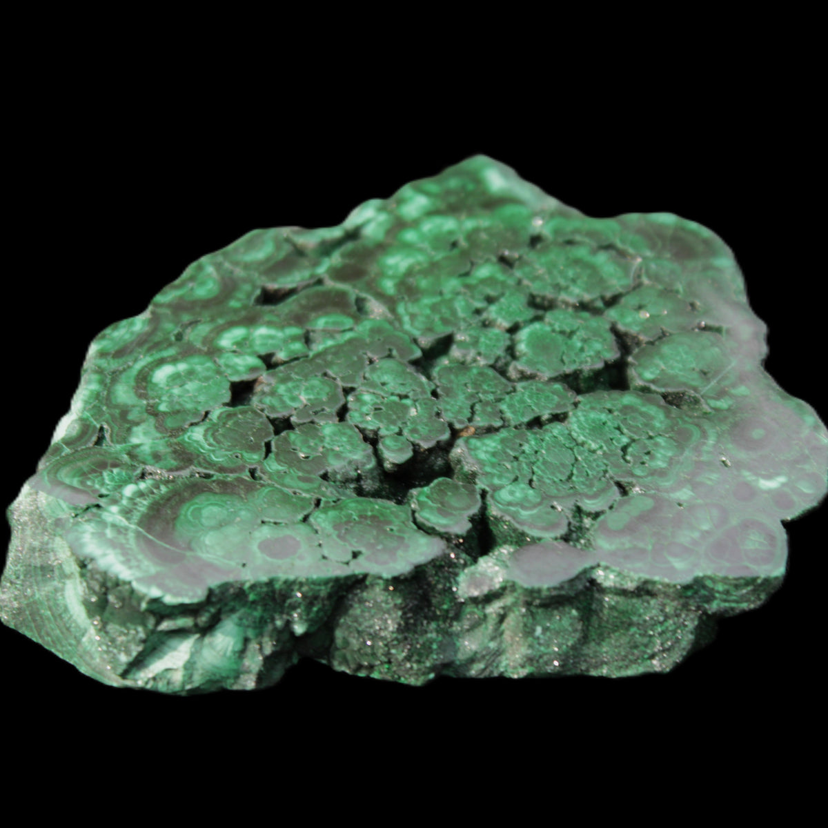 Glossy Malachite polished slice 92*78*12mm 226g in sunlight - Rocks and Things Store
