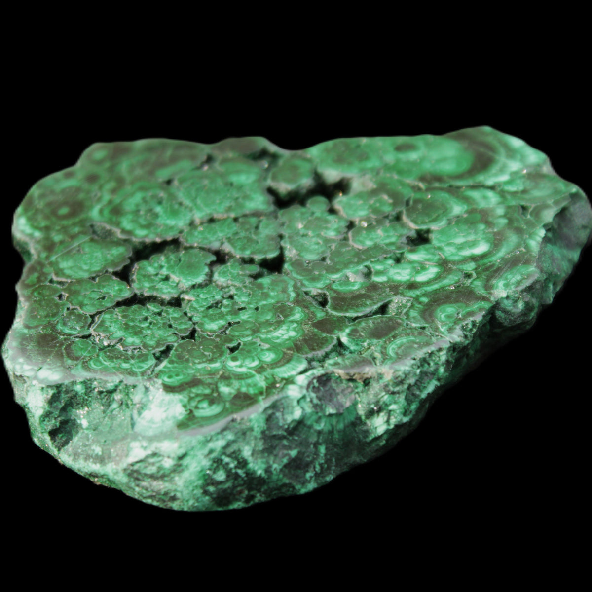 Glossy Malachite polished slice 92*78*12mm 226g in sunlight - Rocks and Things Store
