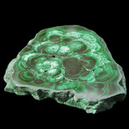 Glossy Malachite polished slice 92*78*12mm 226g in sunlight - Rocks and Things Store