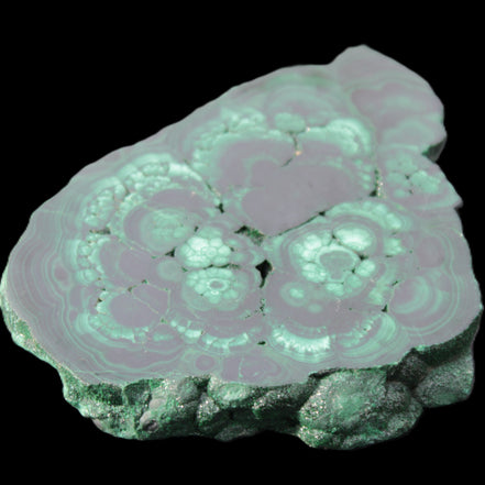 Glossy Malachite polished slice 92*78*12mm 226g in sunlight - Rocks and Things Store