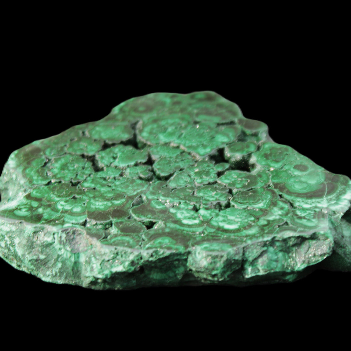 Glossy Malachite polished slice 92*78*12mm 226g in sunlight - Rocks and Things Store