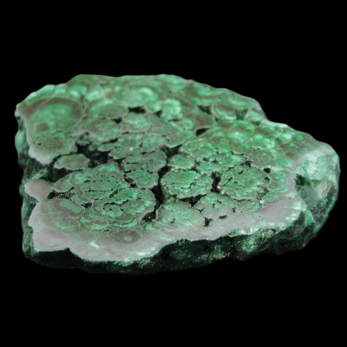 Glossy Malachite polished slice 92*78*12mm 226g in sunlight - Rocks and Things Store
