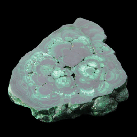 Glossy Malachite polished slice 92*78*12mm 226g in sunlight - Rocks and Things Store