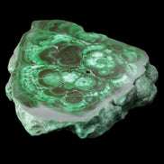 Glossy Malachite polished slice 92*78*12mm 226g in sunlight - Rocks and Things Store