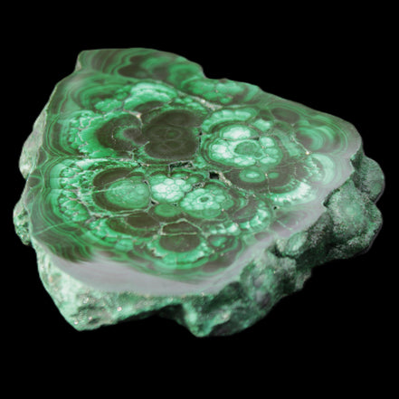 Glossy Malachite polished slice 92*78*12mm 226g in sunlight - Rocks and Things Store