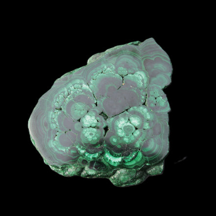 Glossy Malachite polished slice 92*78*12mm 226g in sunlight - Rocks and Things Store