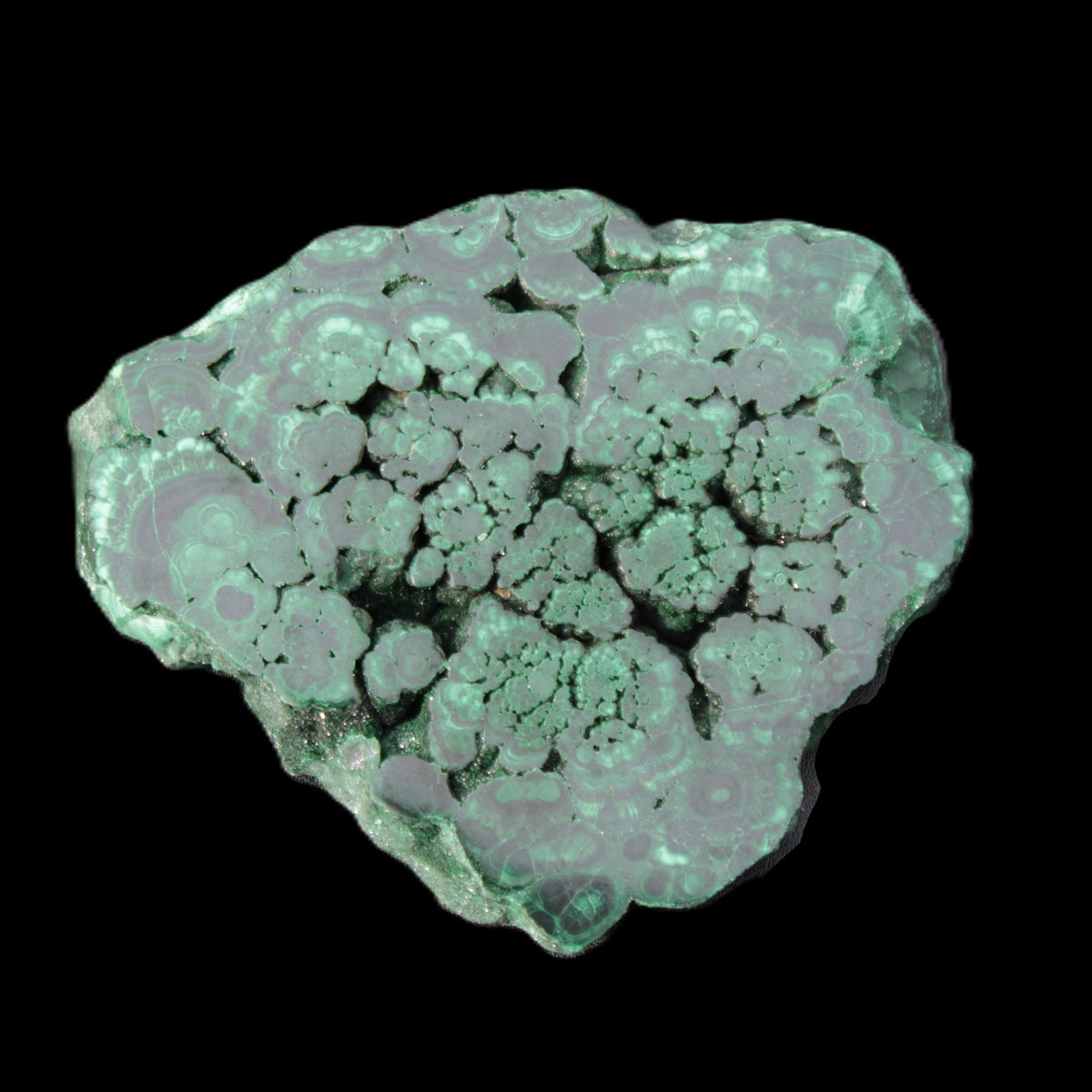 Glossy Malachite polished slice 92*78*12mm 226g in sunlight - Rocks and Things Store