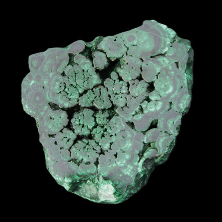 Glossy Malachite polished slice 92*78*12mm 226g in sunlight - Rocks and Things Store