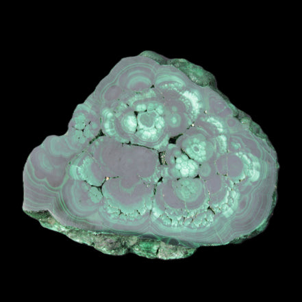 Glossy Malachite polished slice 92*78*12mm 226g in sunlight - Rocks and Things Store