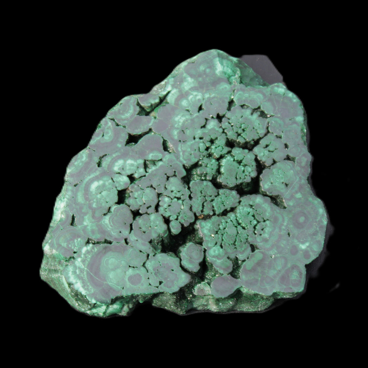 Glossy Malachite polished slice 92*78*12mm 226g in sunlight - Rocks and Things Store