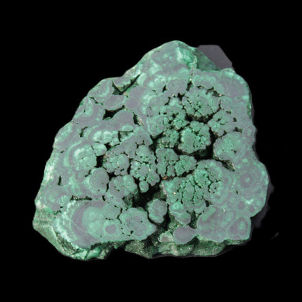 Glossy Malachite polished slice 92*78*12mm 226g in sunlight - Rocks and Things Store