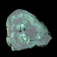 Glossy Malachite polished slice 92*78*12mm 226g in sunlight - Rocks and Things Store