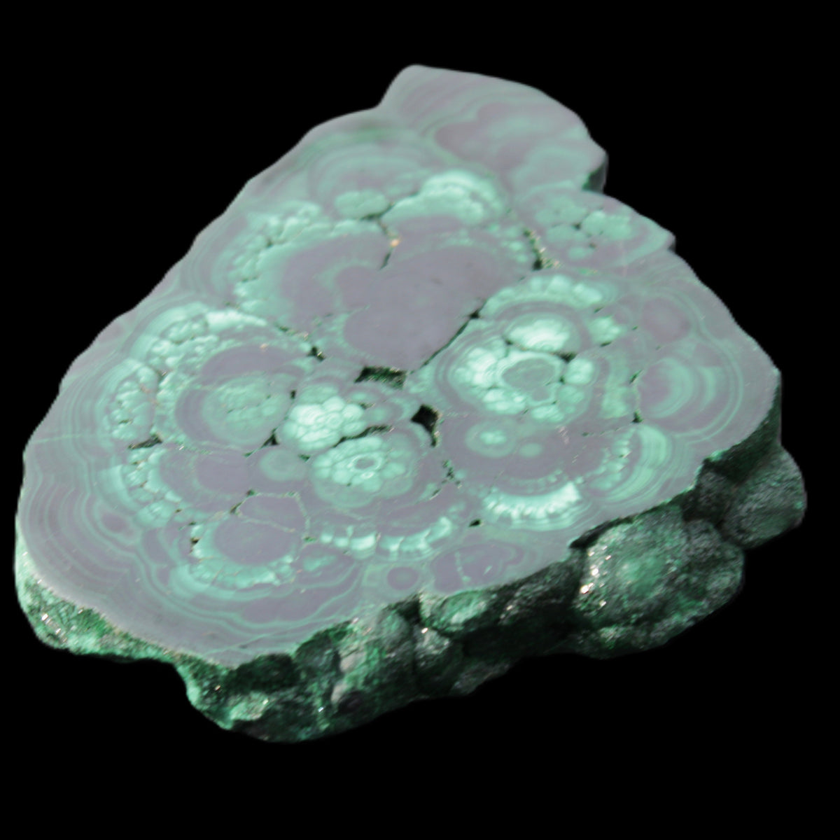 Glossy Malachite polished slice 92*78*12mm 226g in sunlight - Rocks and Things Store
