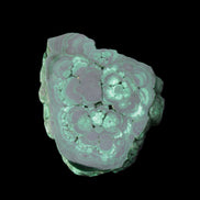 Glossy Malachite polished slice 92*78*12mm 226g in sunlight - Rocks and Things Store