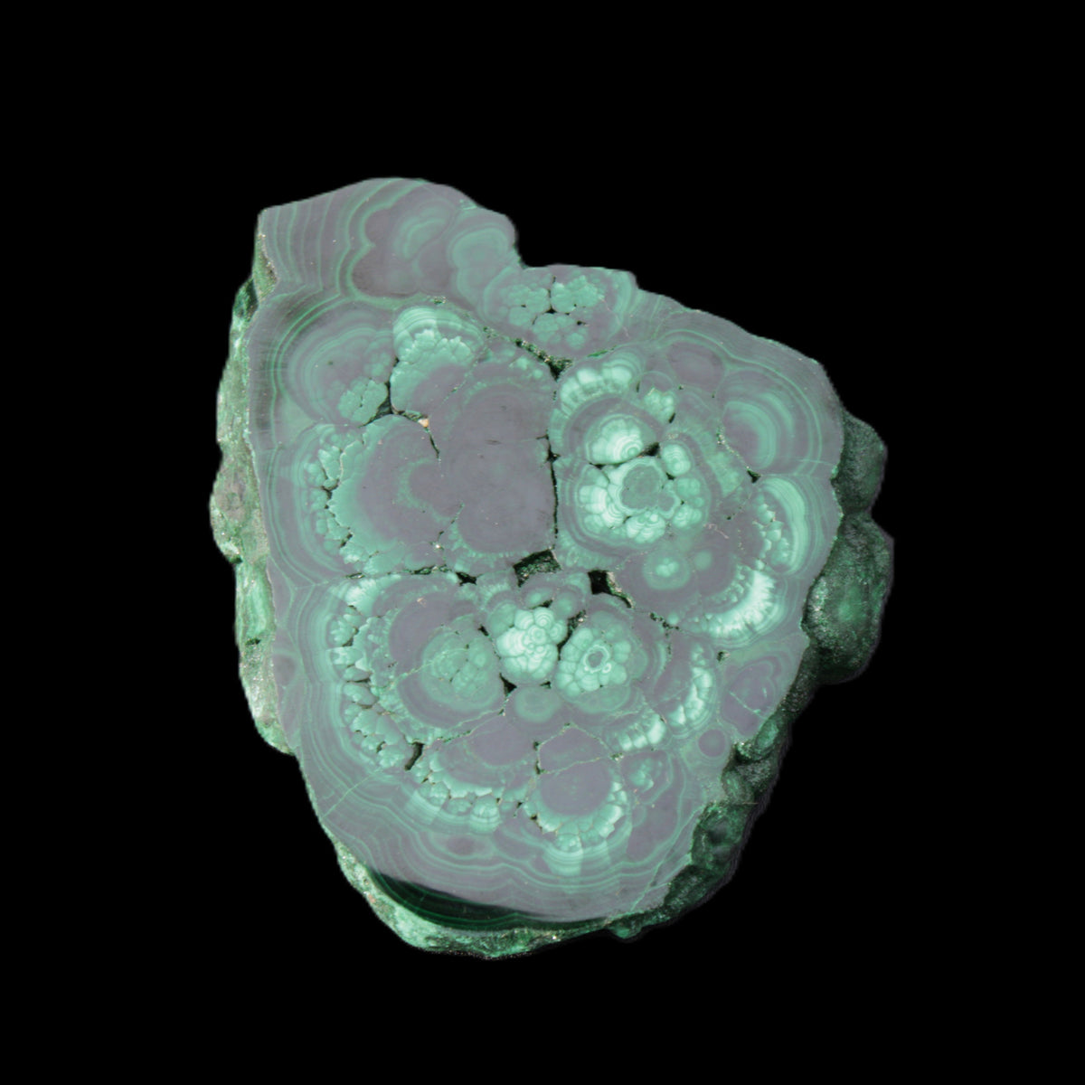 Glossy Malachite polished slice 92*78*12mm 226g in sunlight - Rocks and Things Store