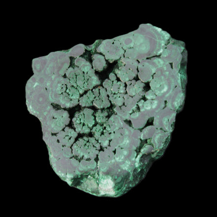 Glossy Malachite polished slice 92*78*12mm 226g in sunlight - Rocks and Things Store