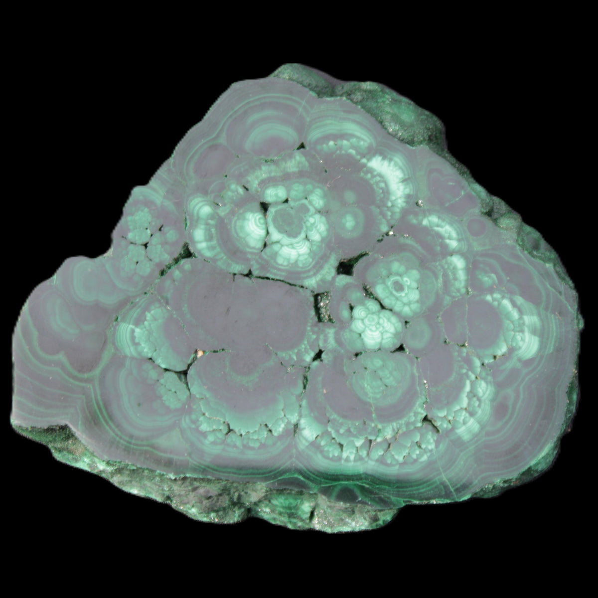 Glossy Malachite polished slice 92*78*12mm 226g in sunlight - Rocks and Things Store