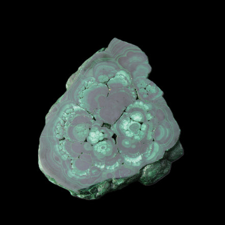 Glossy Malachite polished slice 92*78*12mm 226g in sunlight - Rocks and Things Store