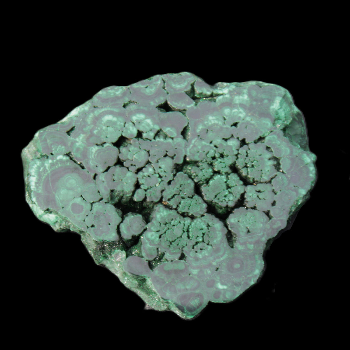 Glossy Malachite polished slice 92*78*12mm 226g in sunlight - Rocks and Things Store