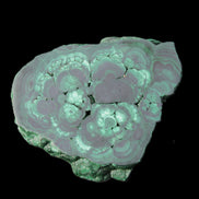 Glossy Malachite polished slice 92*78*12mm 226g in sunlight - Rocks and Things Store