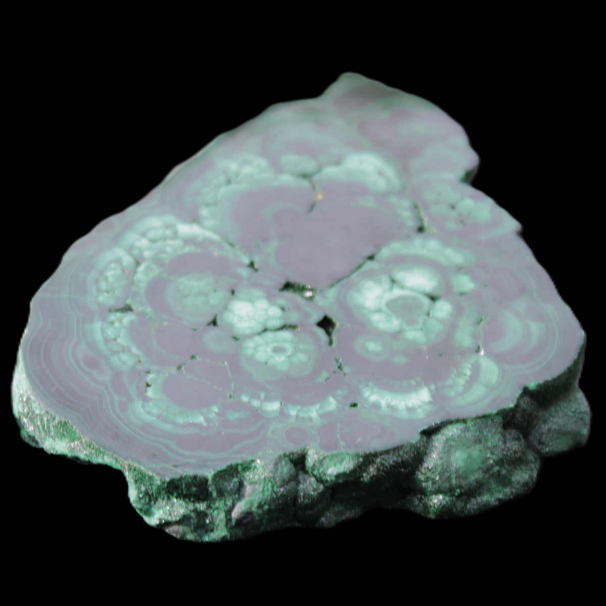 Glossy Malachite polished slice 92*78*12mm 226g in sunlight - Rocks and Things Store