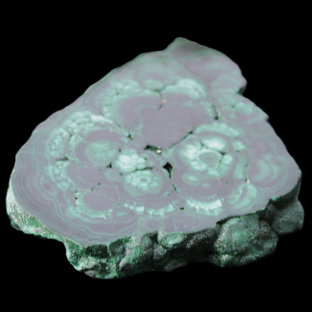 Glossy Malachite polished slice 92*78*12mm 226g in sunlight - Rocks and Things Store