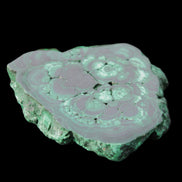 Glossy Malachite polished slice 92*78*12mm 226g in sunlight - Rocks and Things Store