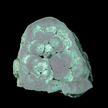 Glossy Malachite polished slice 92*78*12mm 226g in sunlight - Rocks and Things Store