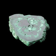 Glossy Malachite polished slice 92*78*12mm 226g in sunlight - Rocks and Things Store