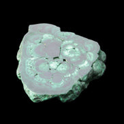 Glossy Malachite polished slice 92*78*12mm 226g in sunlight - Rocks and Things Store