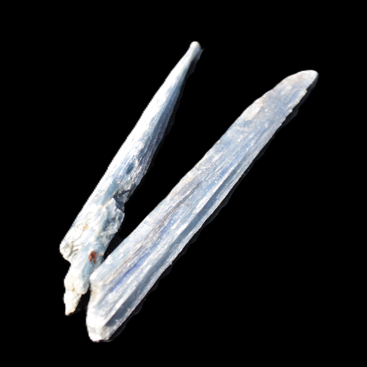 Kyanite 2 blade crystals 80/85mm 16.5g in sunlight - Rocks and Things Store
