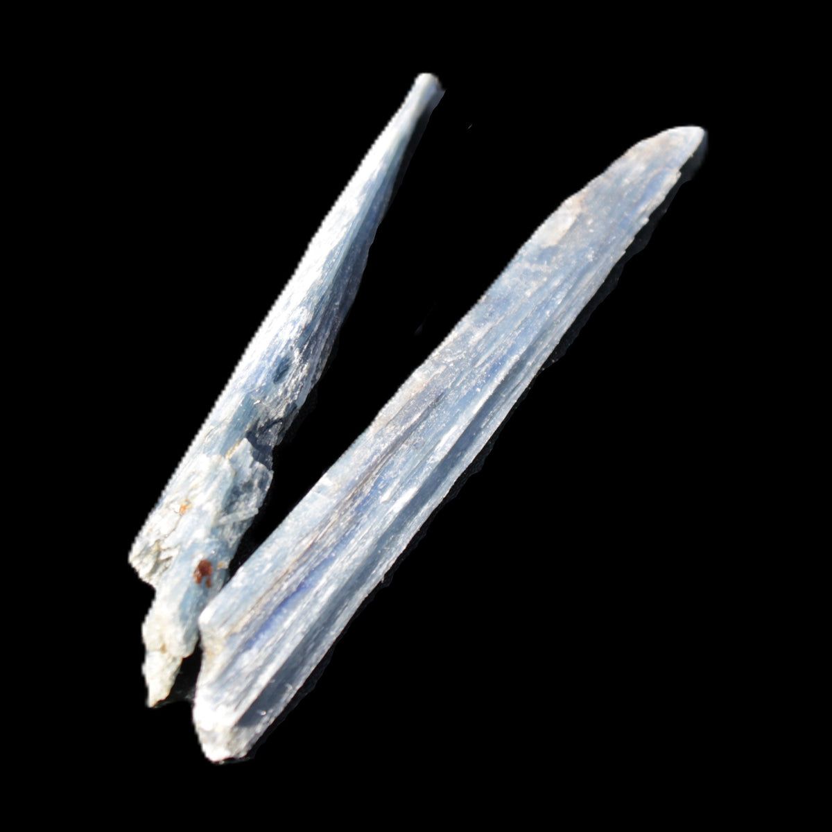 Kyanite 2 blade crystals 80/85mm 16.5g in sunlight - Rocks and Things Store