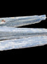 Kyanite 3 chunky blade crystals 73-90mm 67g in sunlight - Rocks and Things Store