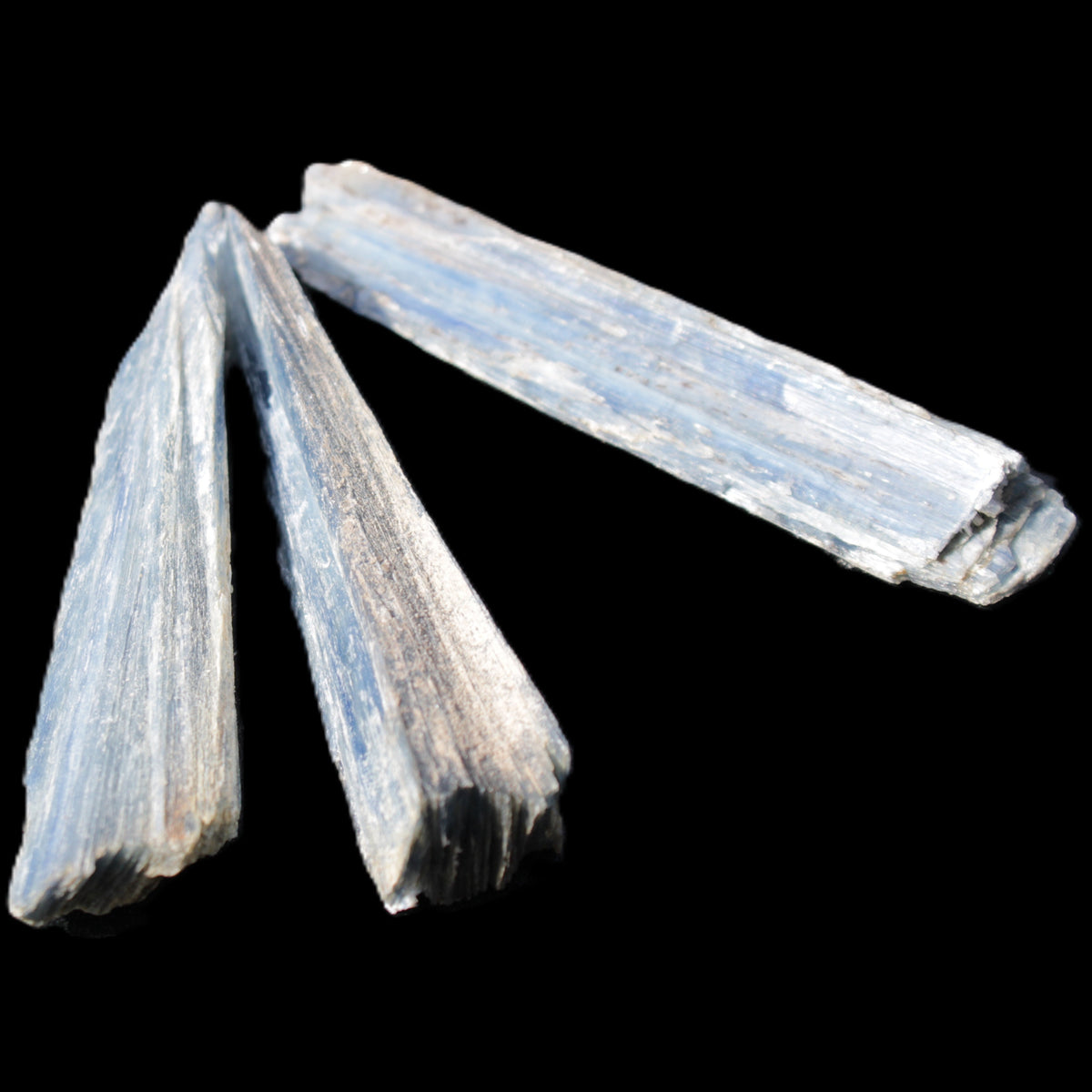 Kyanite 3 chunky blade crystals 73-90mm 67g in sunlight - Rocks and Things Store