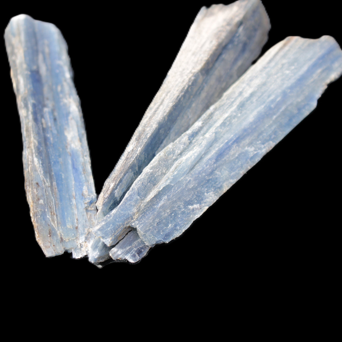 Kyanite 3 chunky blade crystals 73-90mm 67g in sunlight - Rocks and Things Store