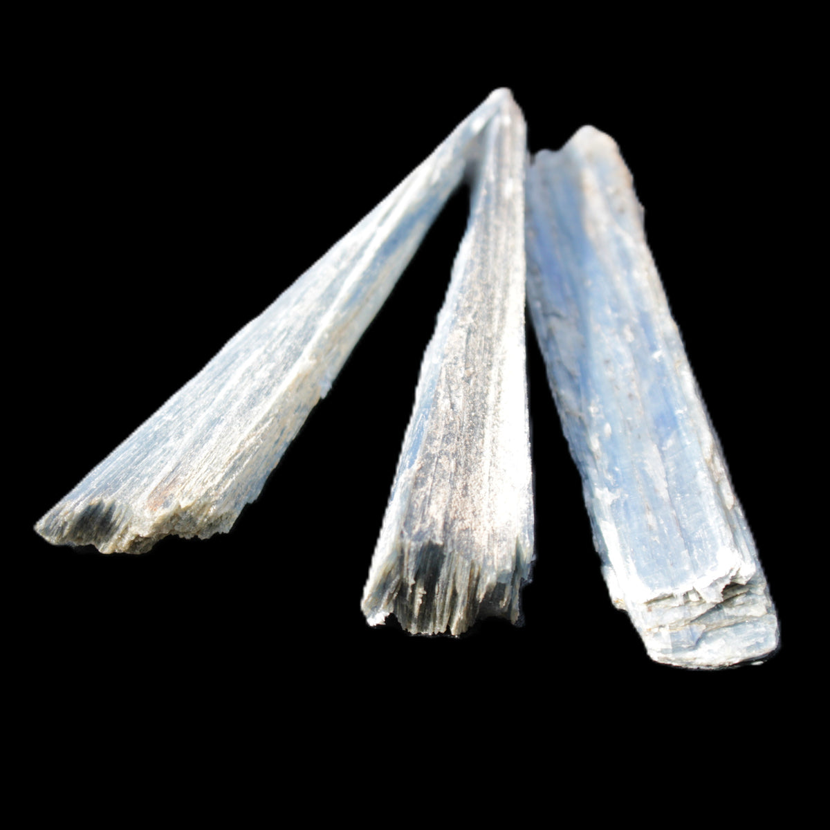 Kyanite 3 chunky blade crystals 73-90mm 67g in sunlight - Rocks and Things Store