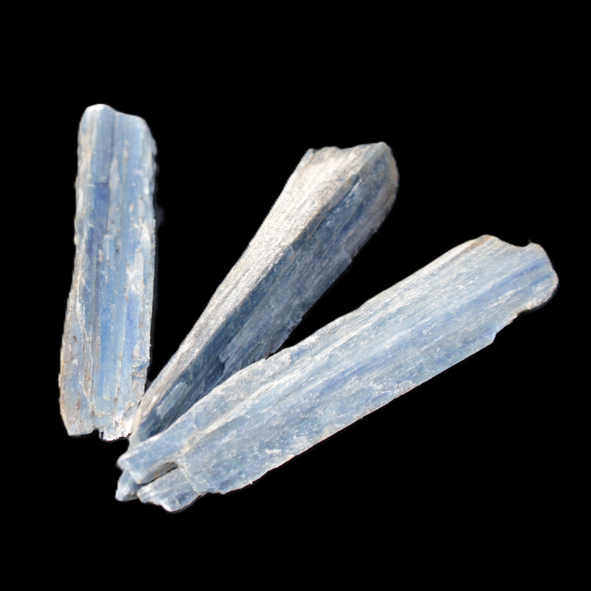 Kyanite 3 chunky blade crystals 73-90mm 67g in sunlight - Rocks and Things Store