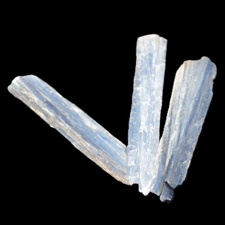 Kyanite 3 chunky blade crystals 73-90mm 67g in sunlight - Rocks and Things Store