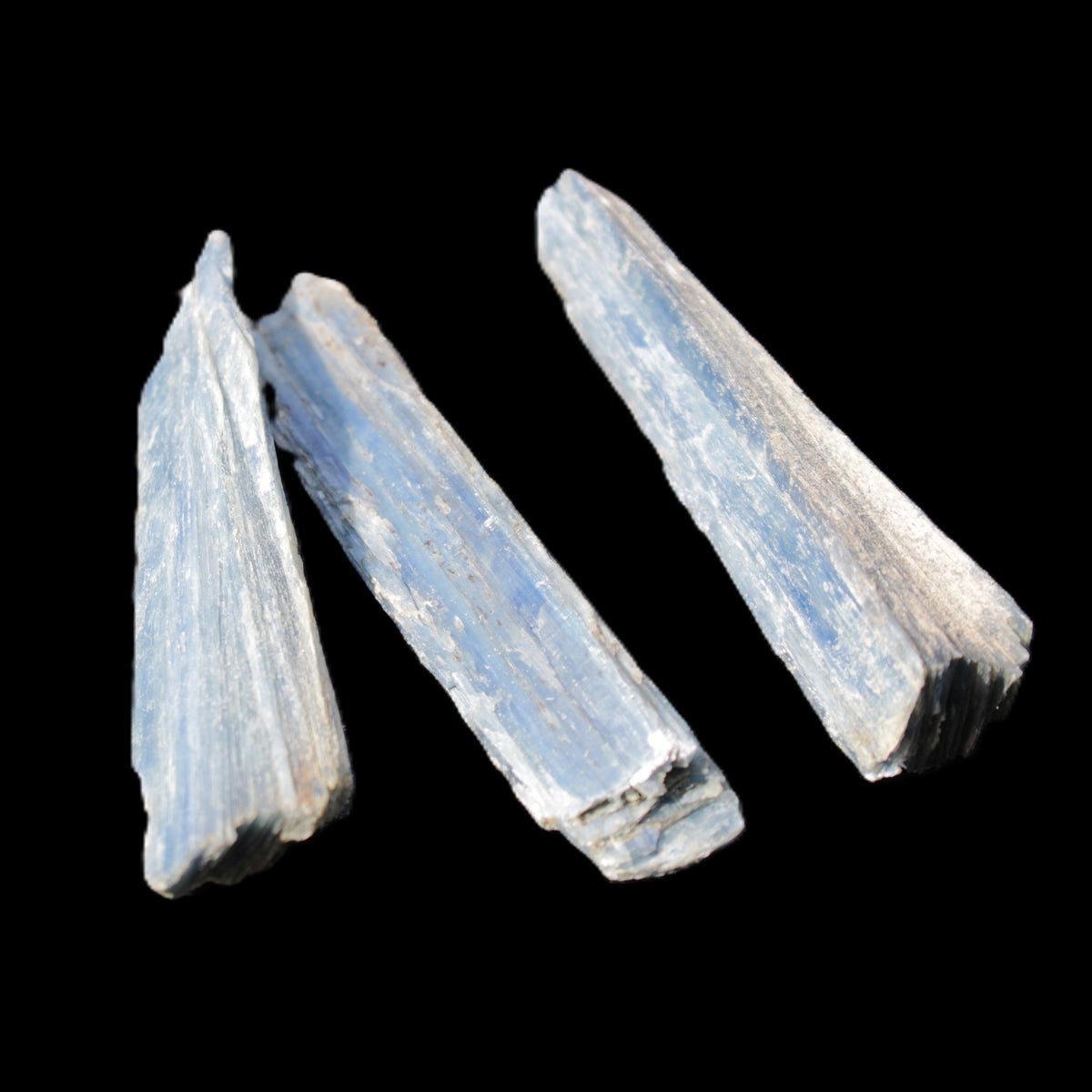 Kyanite 3 chunky blade crystals 73-90mm 67g in sunlight - Rocks and Things Store