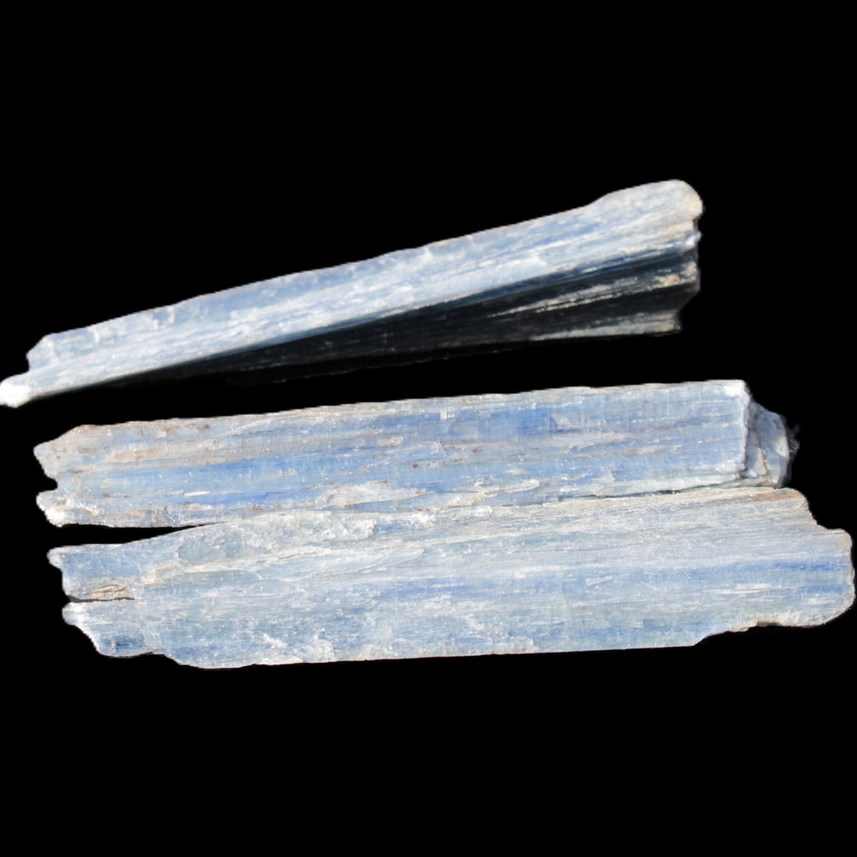 Kyanite 3 chunky blade crystals 73-90mm 67g in sunlight - Rocks and Things Store