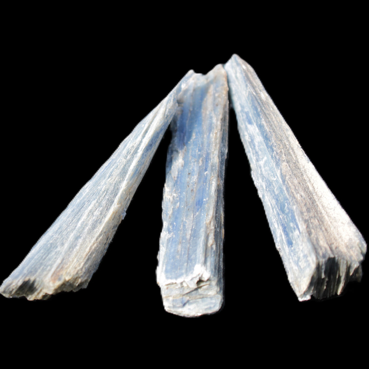 Kyanite 3 chunky blade crystals 73-90mm 67g in sunlight - Rocks and Things Store
