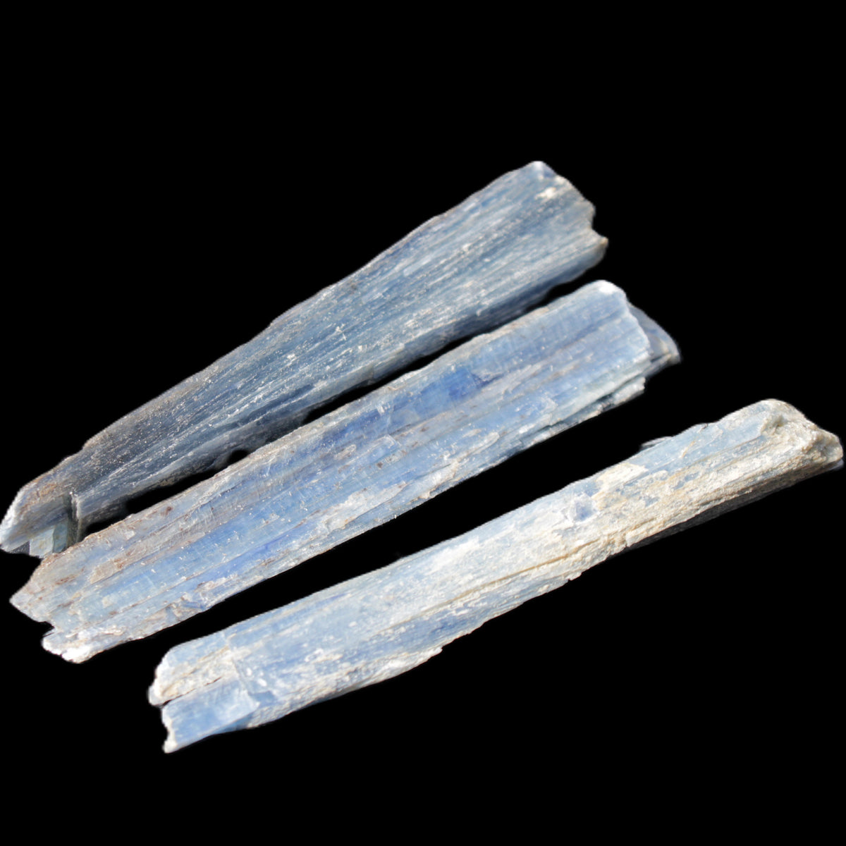 Kyanite 3 chunky blade crystals 73-90mm 67g in sunlight - Rocks and Things Store