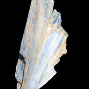 Kyanite fanned blade crystal cluster 105*60*30mm 227g in sunlight - Rocks and Things Store