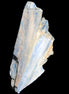Kyanite fanned blade crystal cluster 105*60*30mm 227g in sunlight - Rocks and Things Store