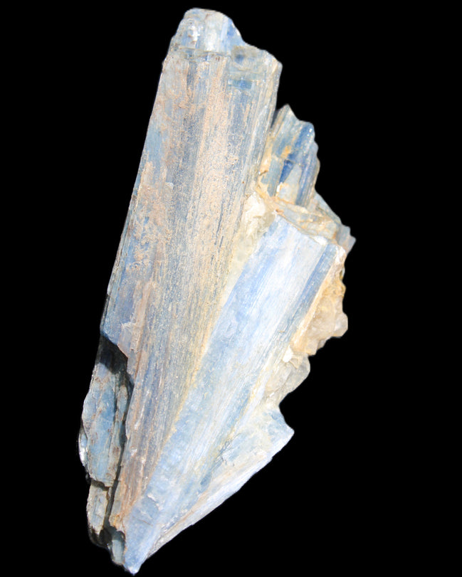 Kyanite fanned blade crystal cluster 105*60*30mm 227g in sunlight - Rocks and Things Store