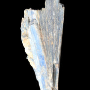 Kyanite fanned blade crystal cluster 105*60*30mm 227g in sunlight - Rocks and Things Store