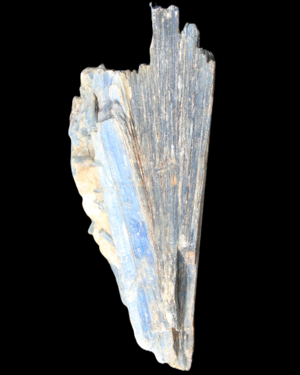 Kyanite fanned blade crystal cluster 105*60*30mm 227g in sunlight - Rocks and Things Store
