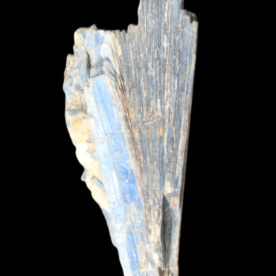 Kyanite fanned blade crystal cluster 105*60*30mm 227g in sunlight - Rocks and Things Store