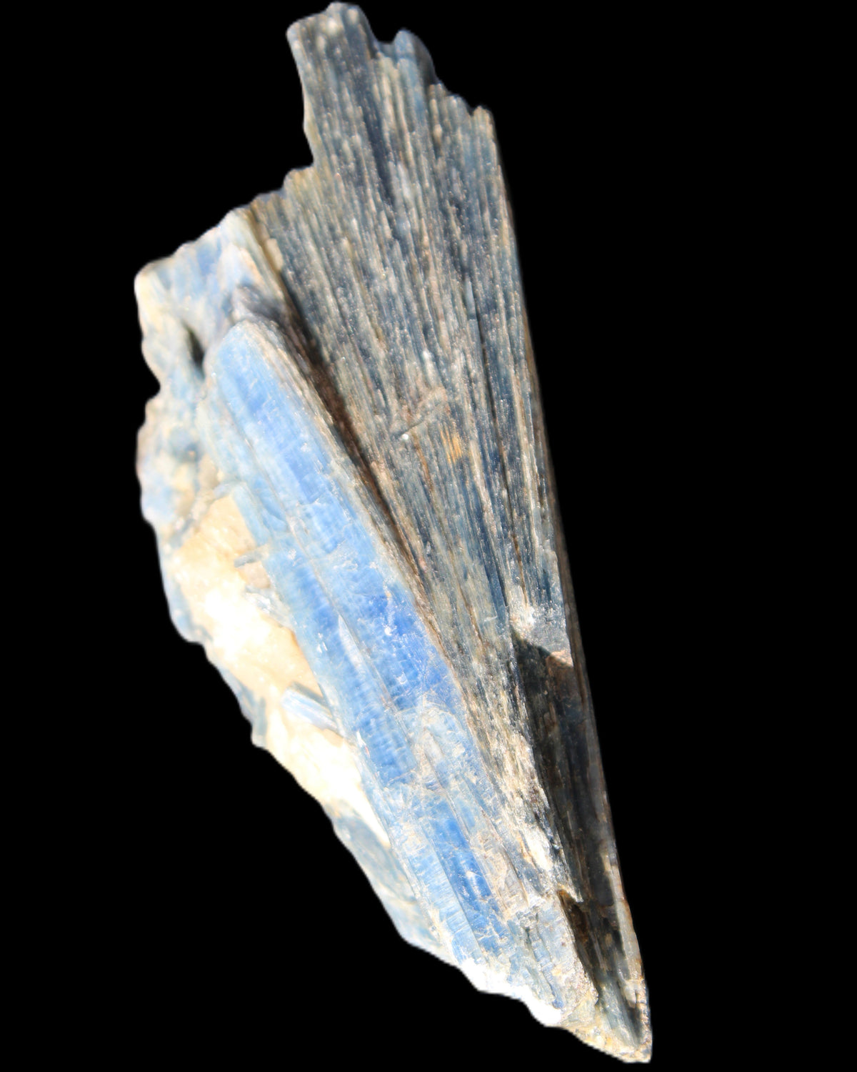 Kyanite fanned blade crystal cluster 105*60*30mm 227g in sunlight - Rocks and Things Store