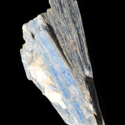 Kyanite fanned blade crystal cluster 105*60*30mm 227g in sunlight - Rocks and Things Store